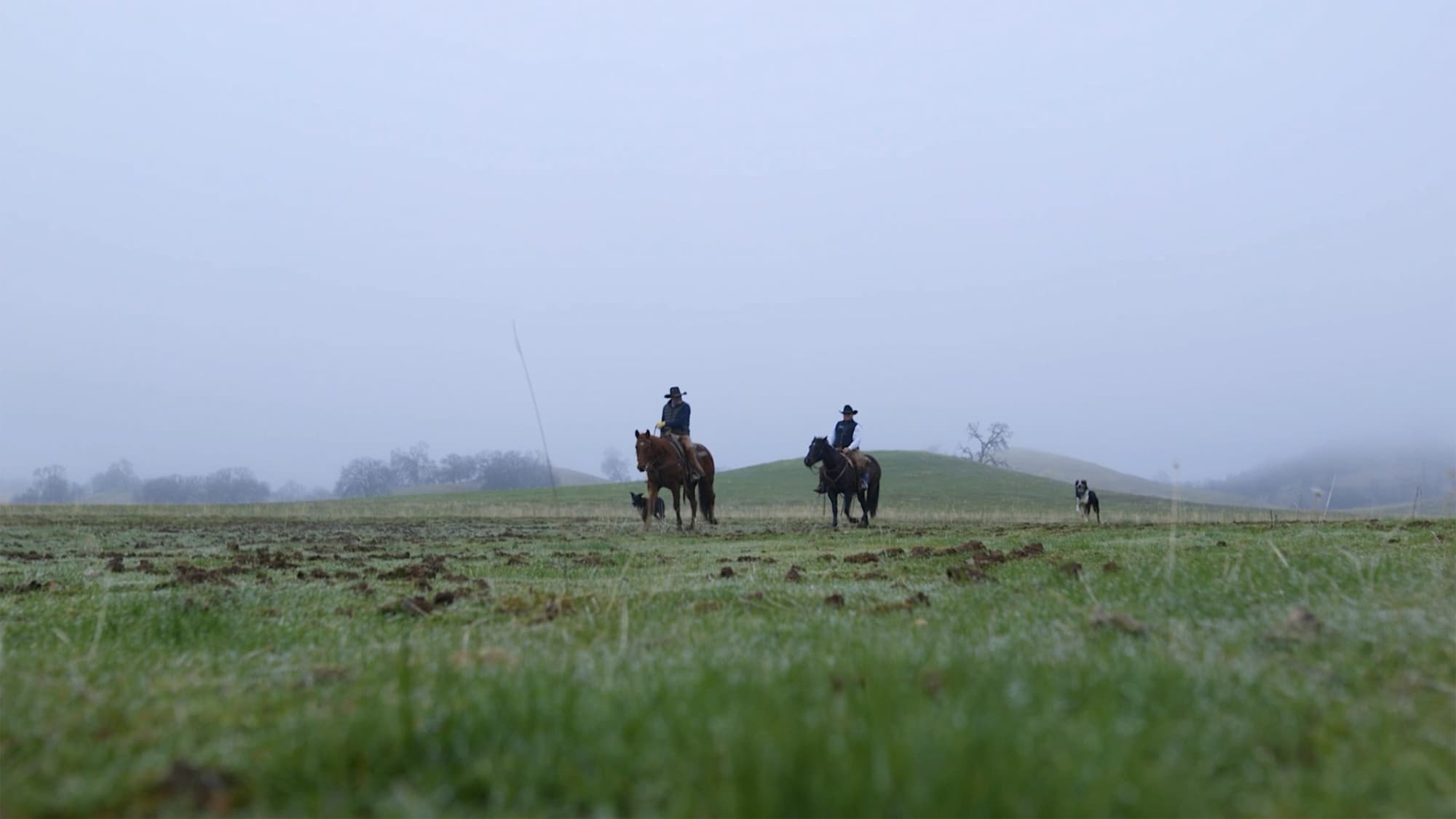 Two riders on horseback crossing a wide, foggy field